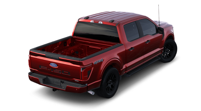 2024 Ford F-150 Vehicle Photo in Terrell, TX 75160